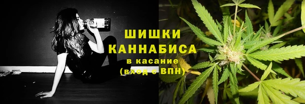 гидра Верея
