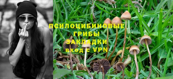 гидра Верея