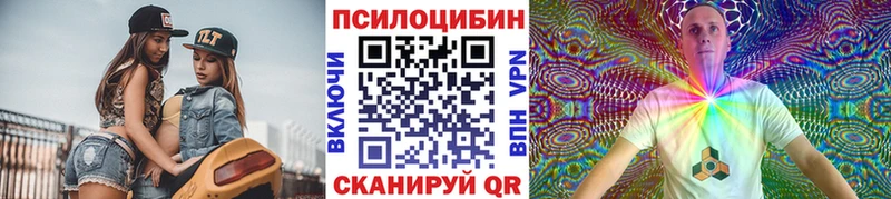 Псилоцибиновые грибы Magic Shrooms  Камышлов 